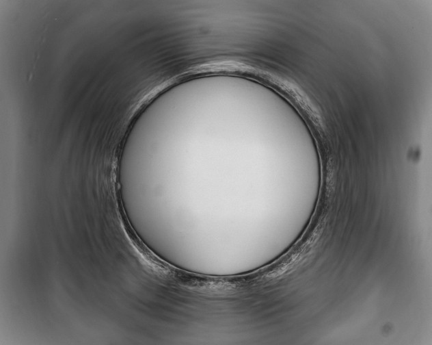 X0000101201233200806270822