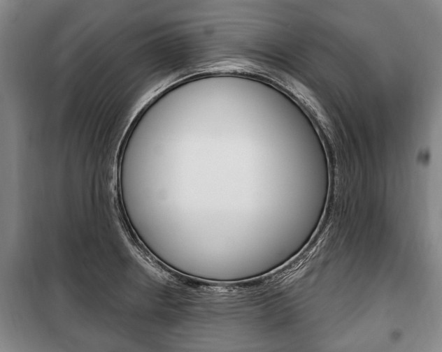 X0000101201234200806270822