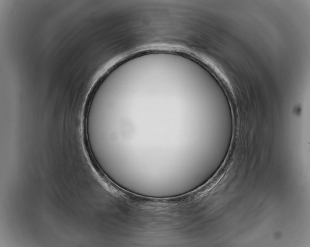 X0000101201237200806270822