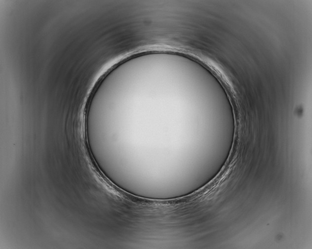 X0000101201238200806270822