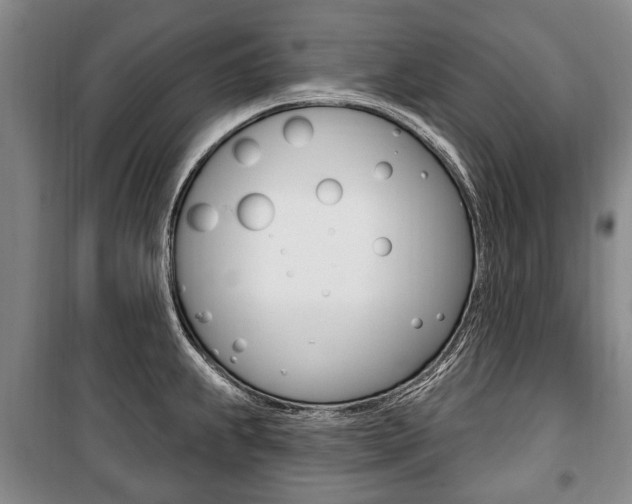 X0000101201239200806270822