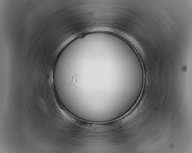 X0000101201241200806270822