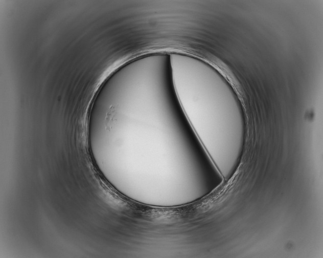 X0000101201242200806270822