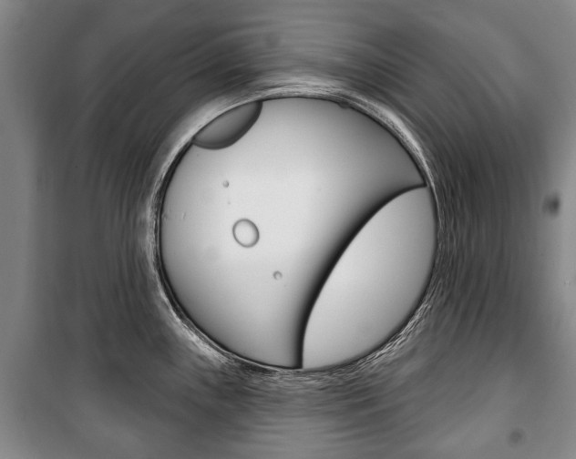 X0000101201243200806270822