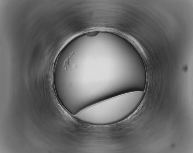 X0000101201244200806270822