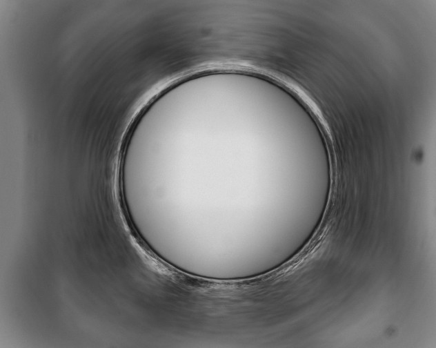 X0000101201245200806270822