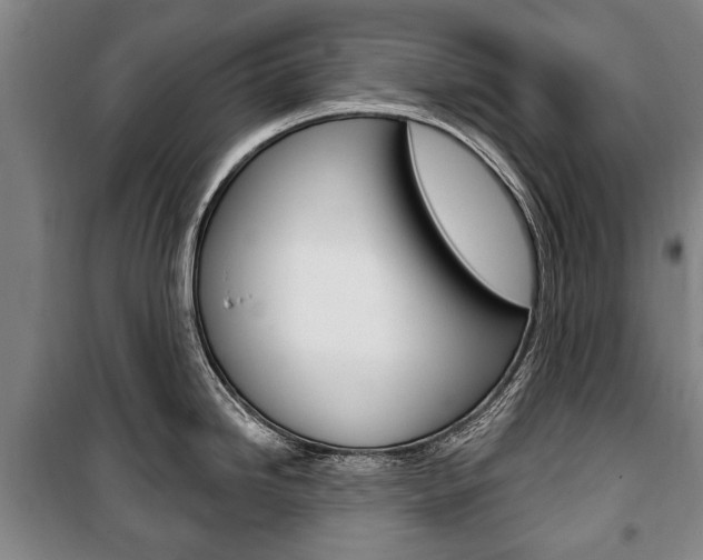 X0000101201246200806270822