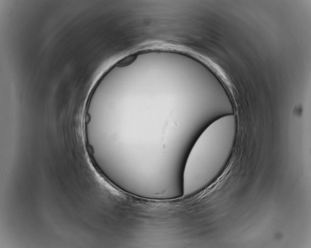 X0000101201247200806270822
