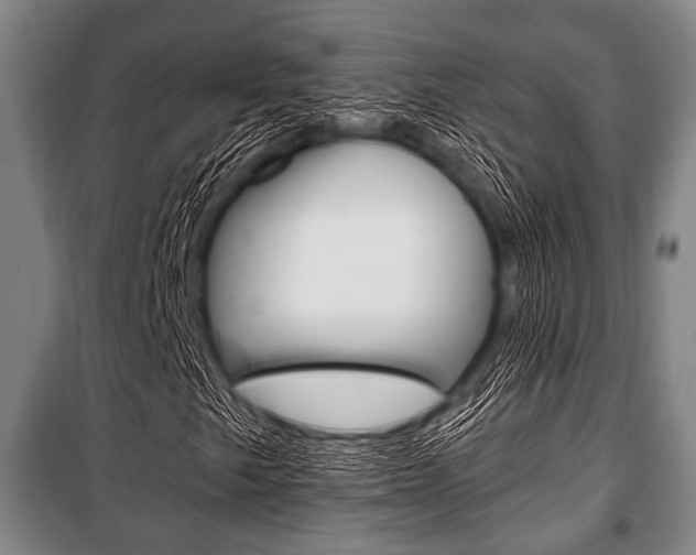 X0000101201249200806270821