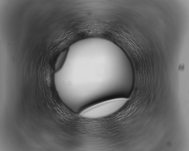 X0000101201250200806270821