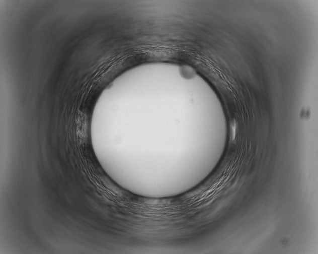 X0000101201251200806270821