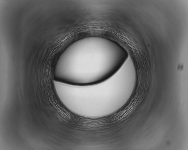 X0000101201252200806270821