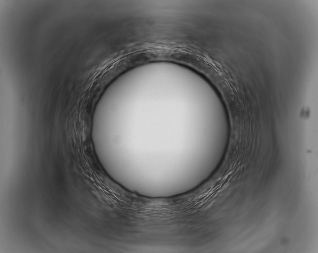 X0000101201253200806270821