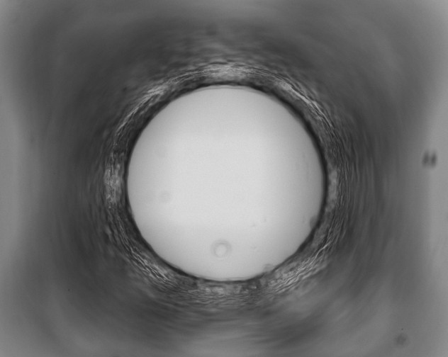 X0000101201254200806270821