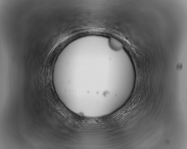 X0000101201255200806270821