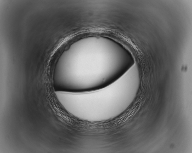 X0000101201256200806270821