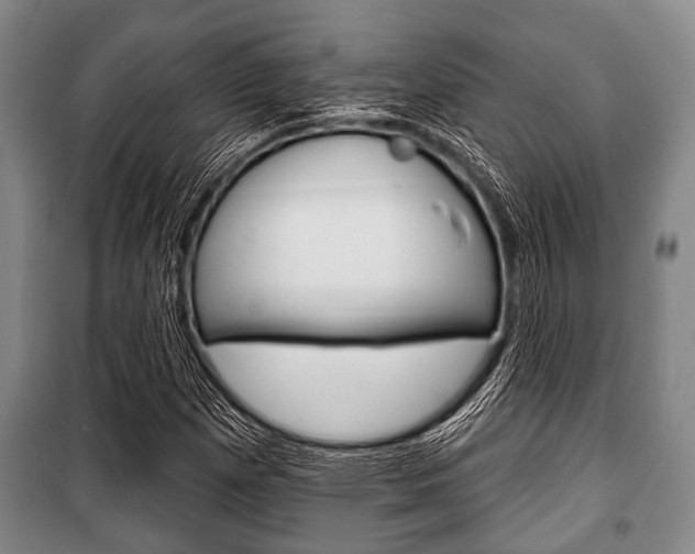 X0000101201257200806270821