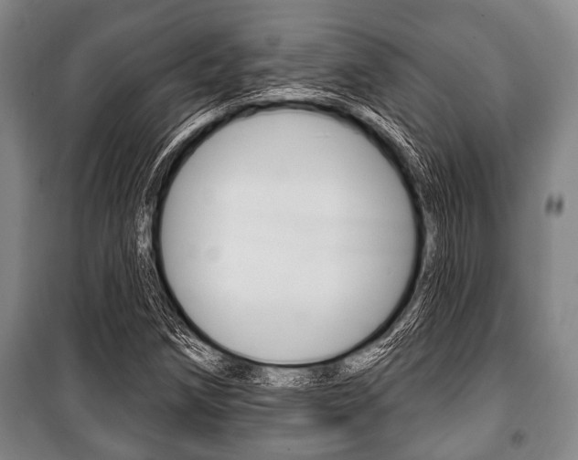 X0000101201258200806270821