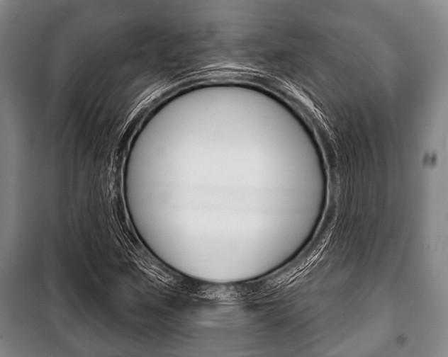 X0000101201259200806270821