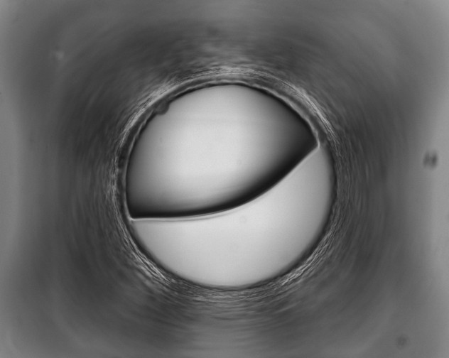 X0000101201260200806270821