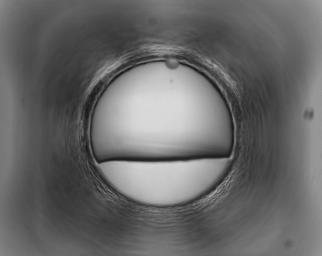 X0000101201261200806270821
