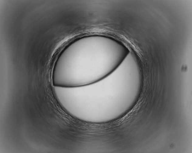 X0000101201262200806270821