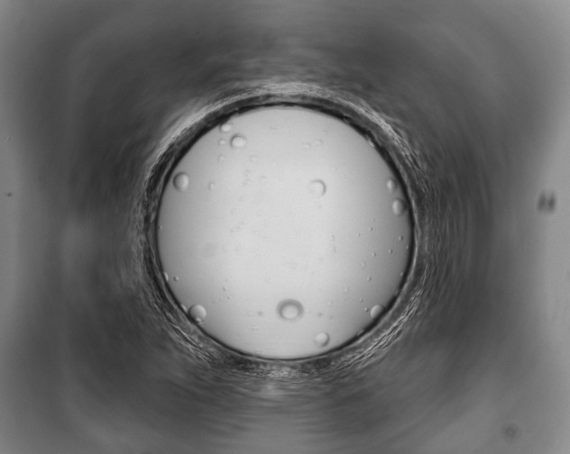 X0000101201263200806270821