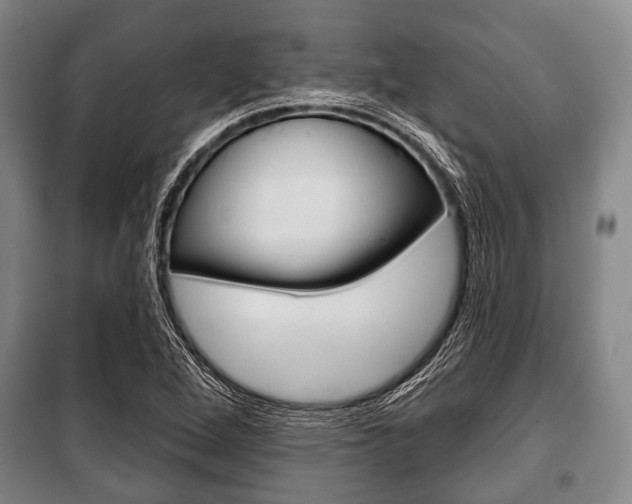 X0000101201264200806270821