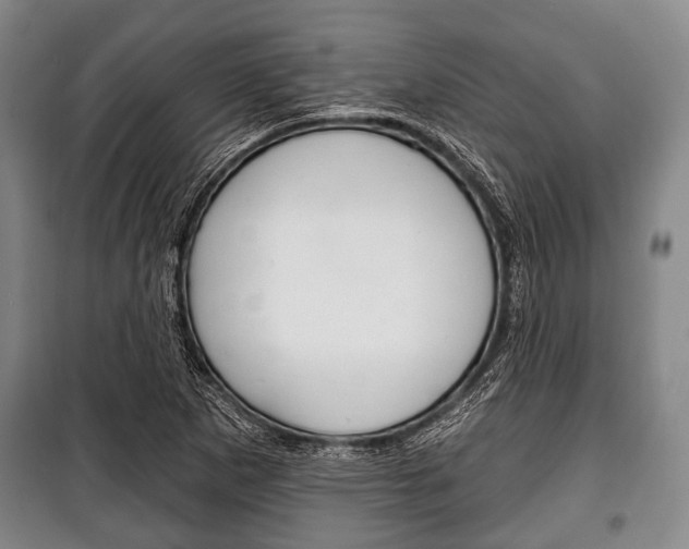 X0000101201265200806270821