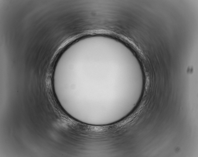 X0000101201266200806270821