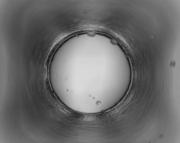 X0000101201267200806270821