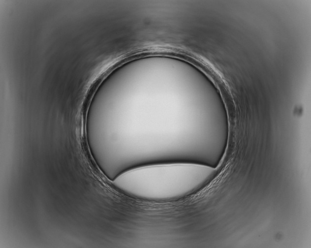 X0000101201269200806270821