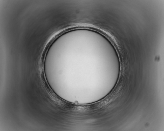 X0000101201271200806270821