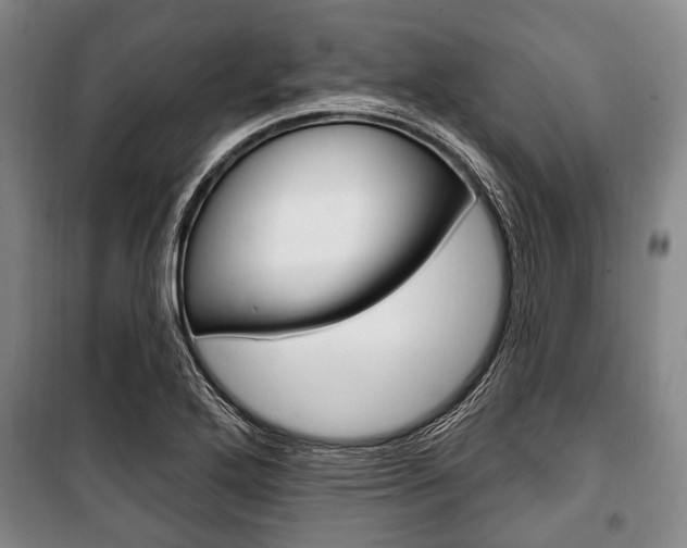 X0000101201272200806270821