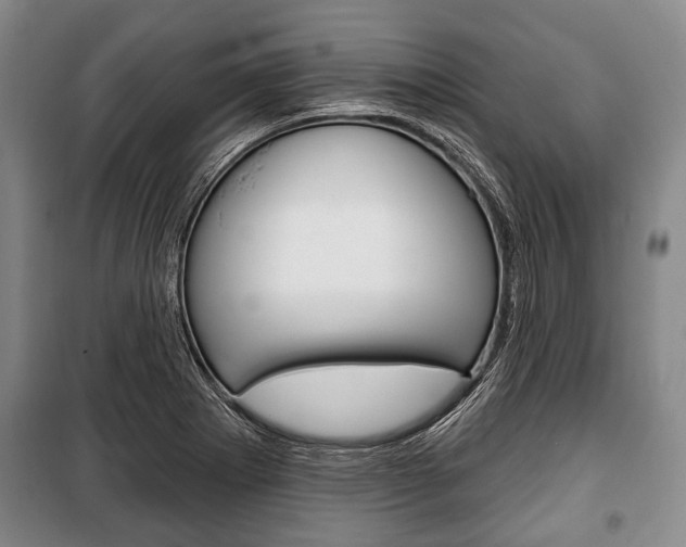 X0000101201273200806270821