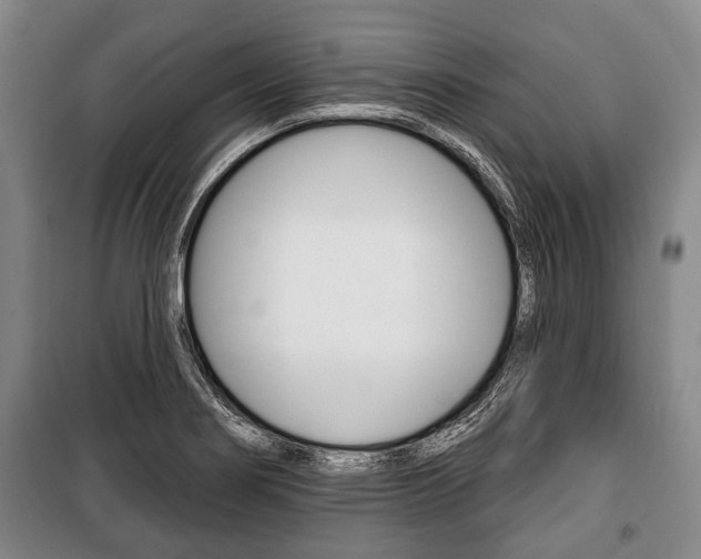 X0000101201274200806270821