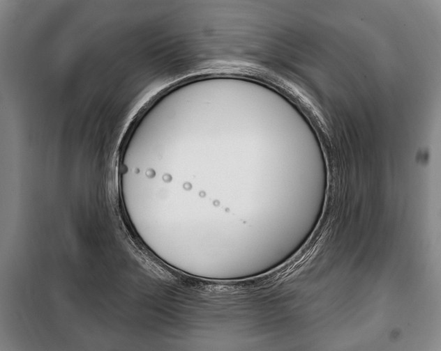 X0000101201275200806270821