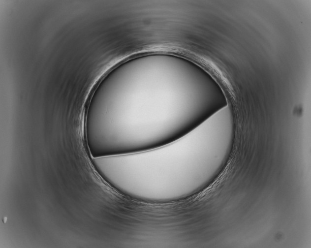 X0000101201276200806270821