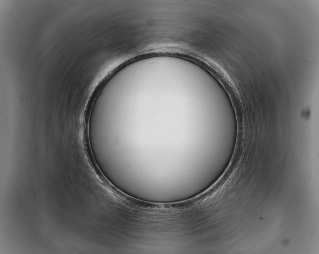 X0000101201277200806270821