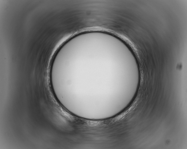 X0000101201278200806270821