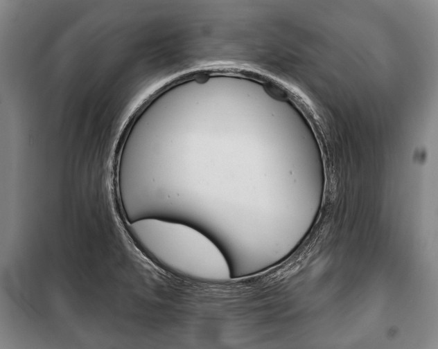 X0000101201279200806270821