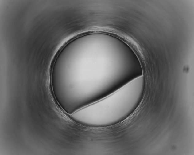 X0000101201280200806270821