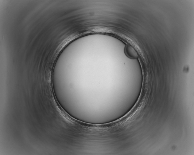 X0000101201281200806270820