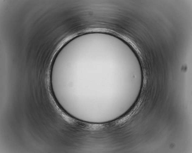 X0000101201282200806270820