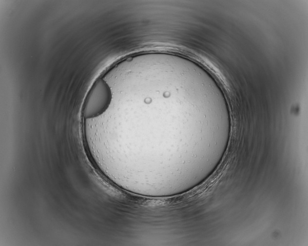 X0000101201283200806270820