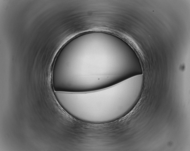 X0000101201284200806270820