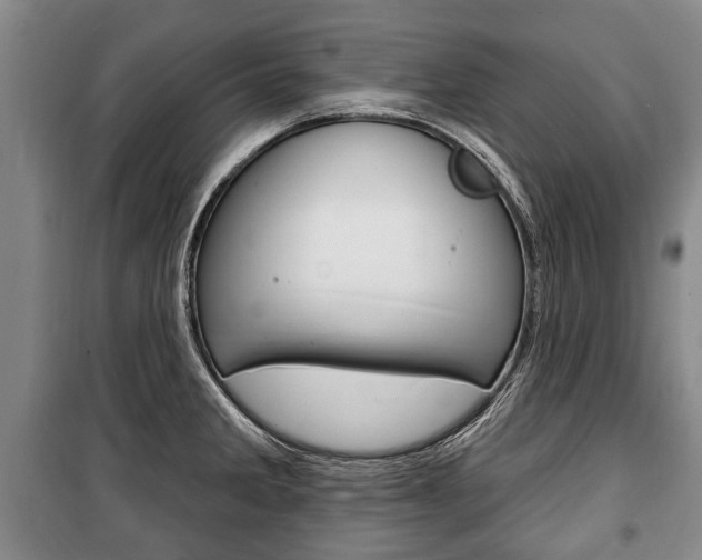 X0000101201285200806270820