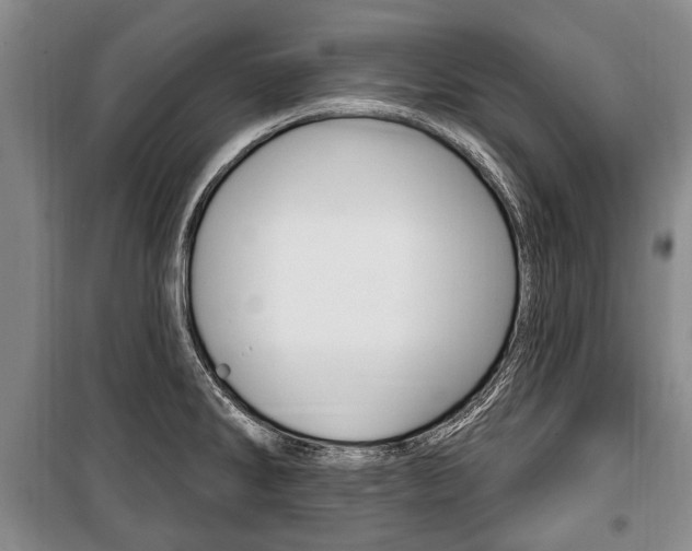 X0000101201286200806270820
