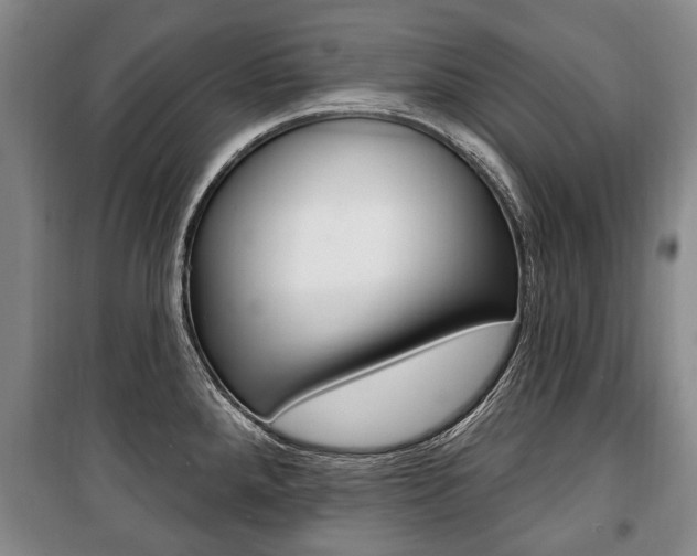 X0000101201288200806270820
