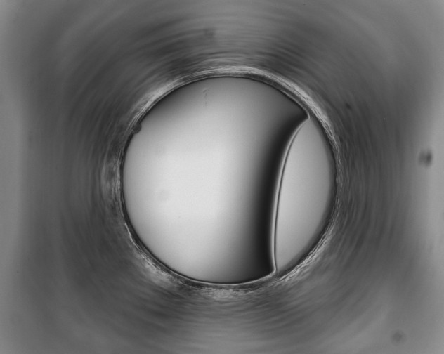X0000101201289200806270820
